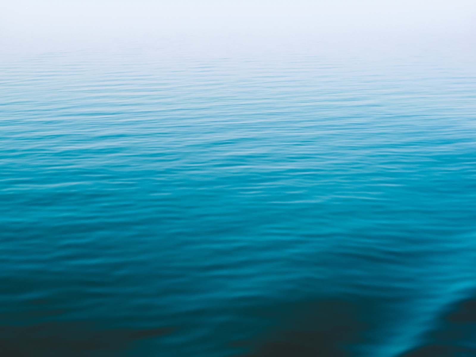 FERR istock 12 1600px