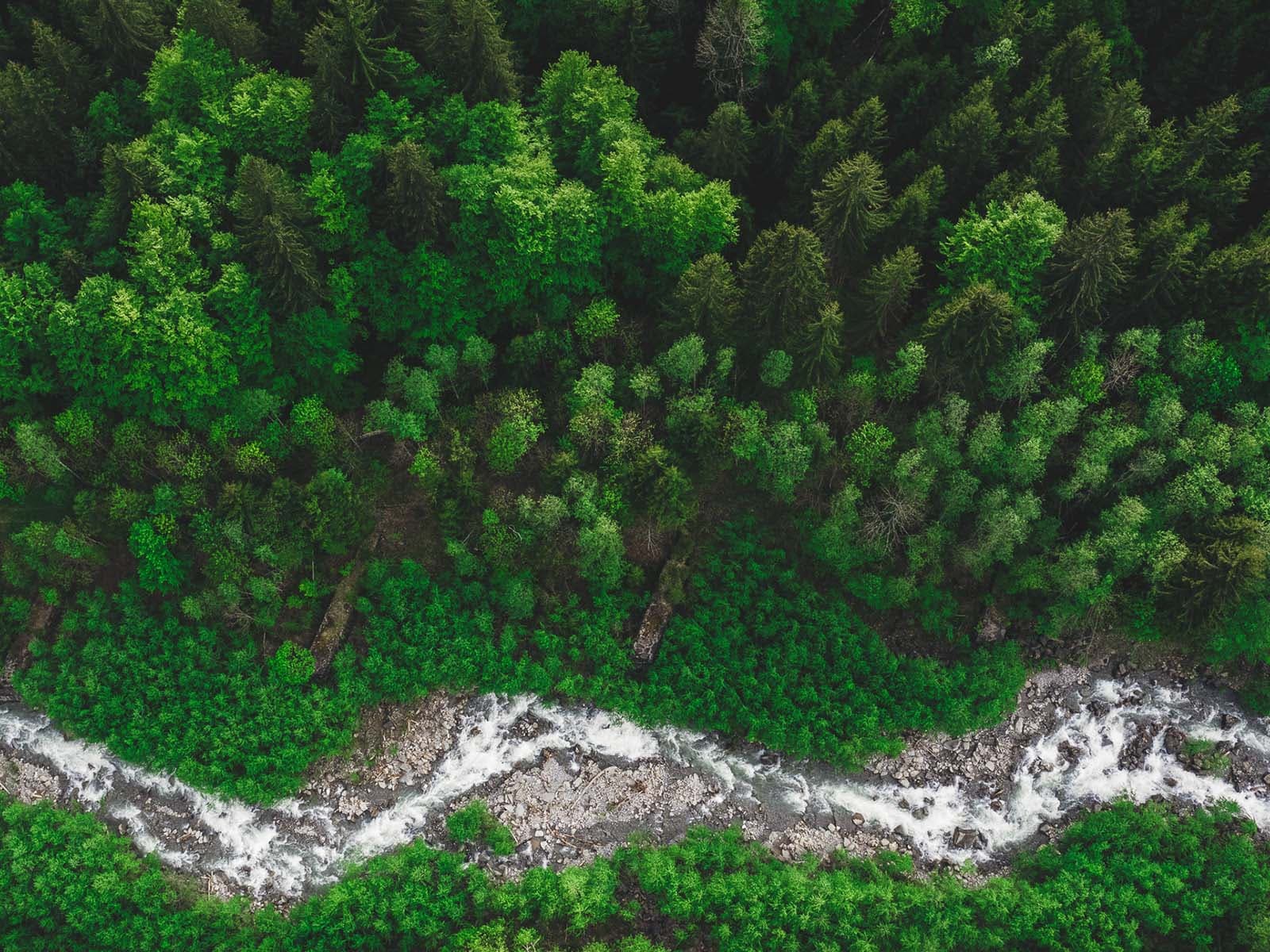 FERR istock 70 1600px