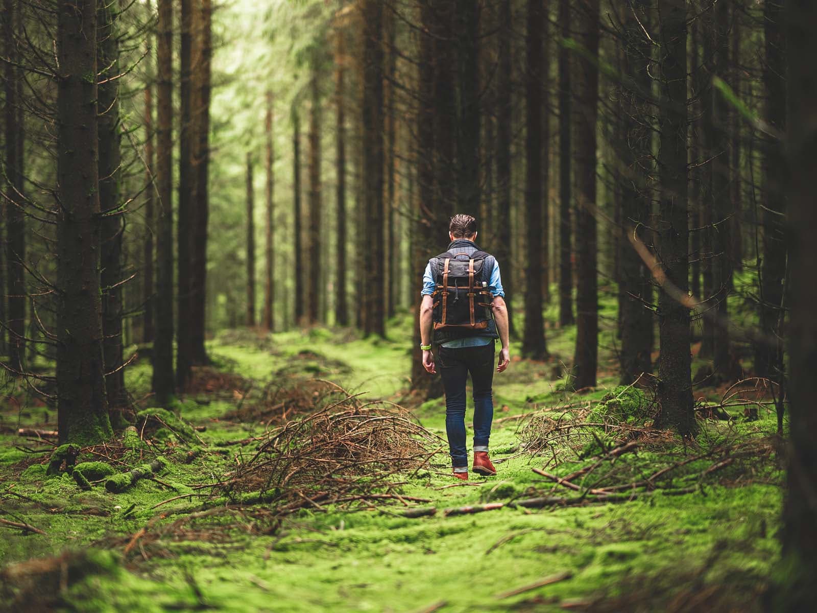 FERR istock 85 1600px